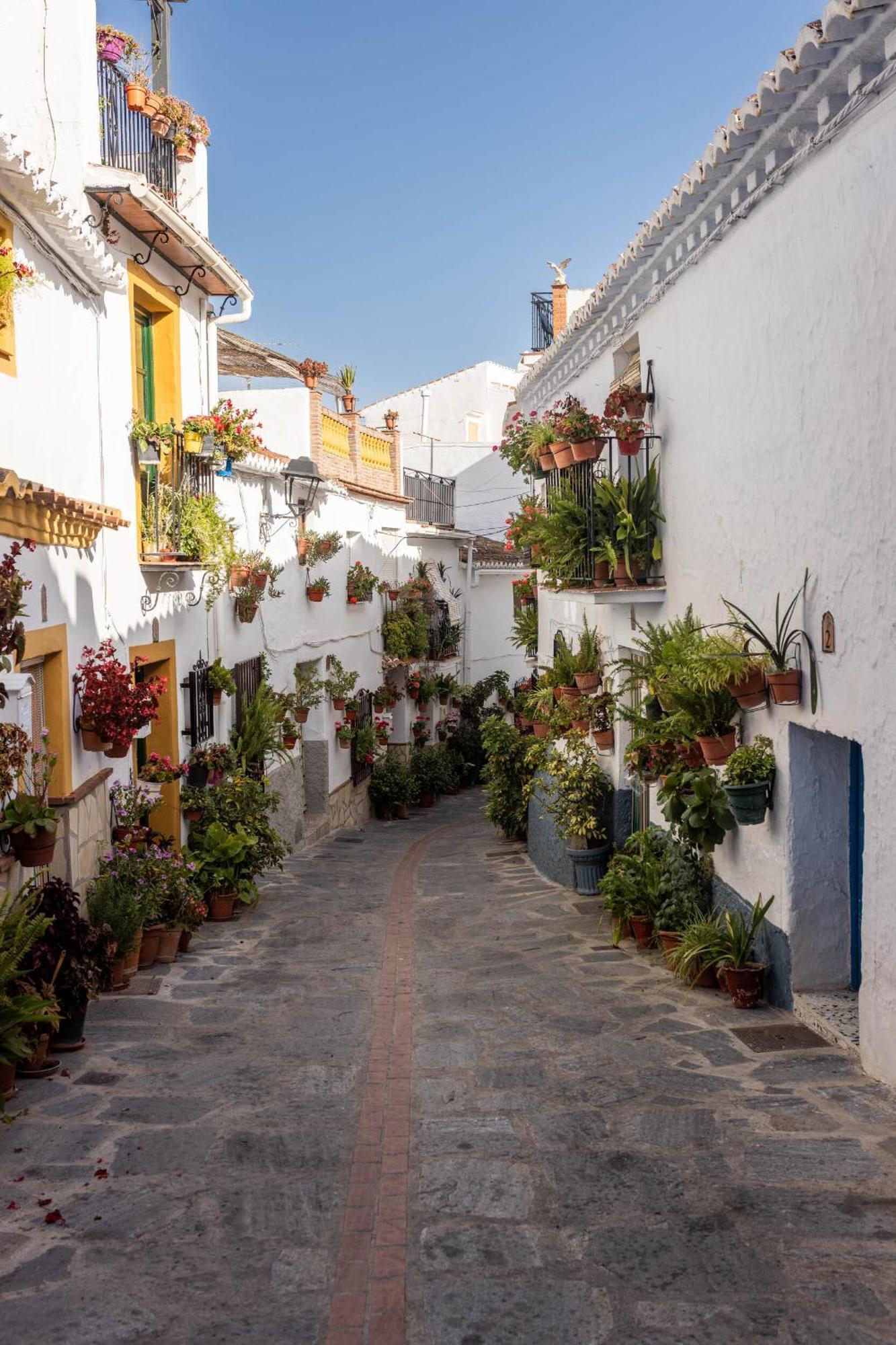Olive & Ivy Guesthouse Canillas de Aceituno Exterior foto